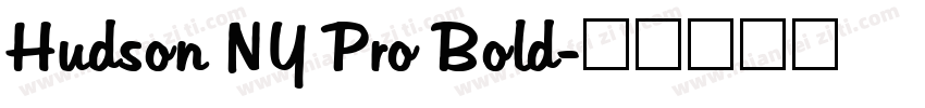 Hudson NY Pro Bold字体转换